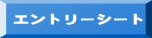 エントリーシート